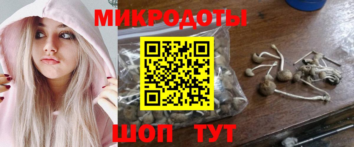 Дятьково  Галлюциногенные грибы ЛСД  Галлюциногенные грибы мухоморы  хочу наркоту  Вход с VPN 